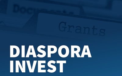 Bespovratna sredstva za investitore iz BH dijaspore- kriteriji dodjele grantova i novi poziv