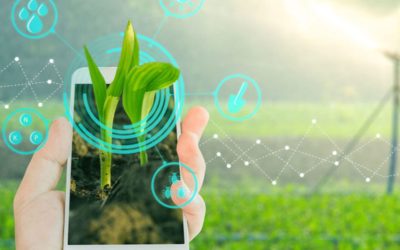 AgroLIFE aplikacija – meteo informacije za planiranje poljoprivredne proizvodnje